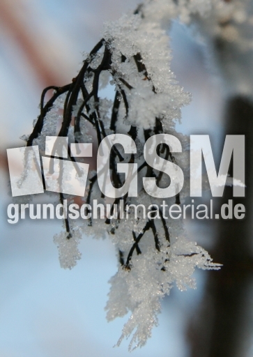 Winterimpressionen 057.jpg